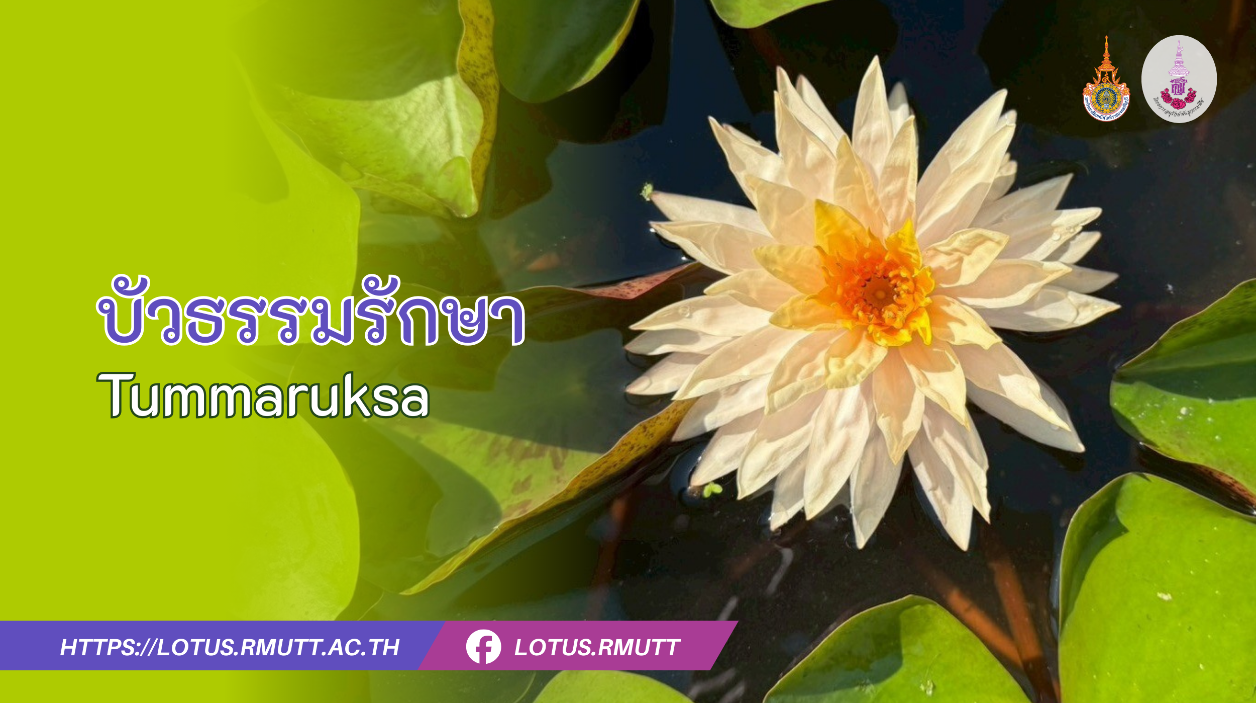 บัวธรรมรักษา