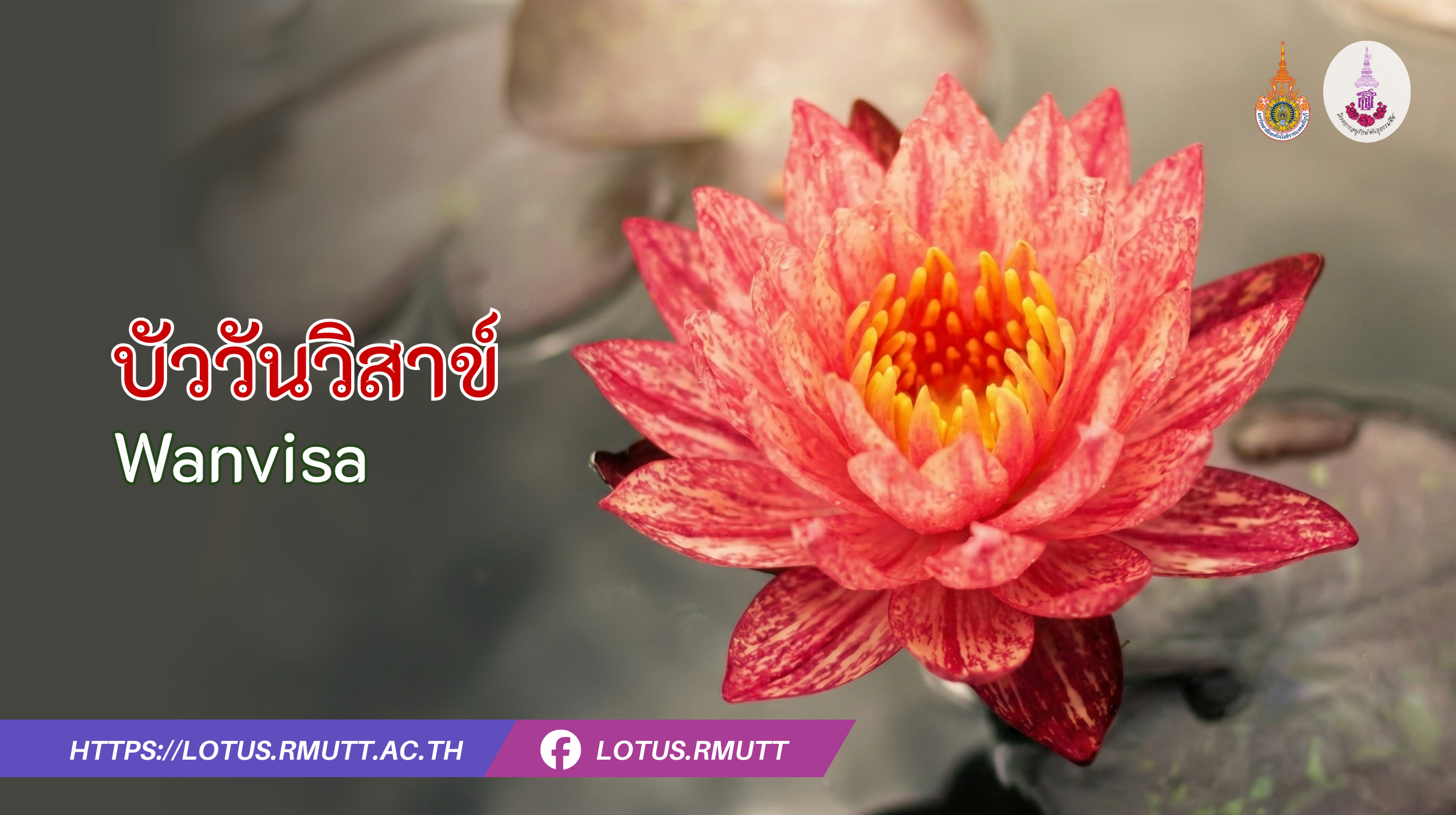 บัววันวิสาข์