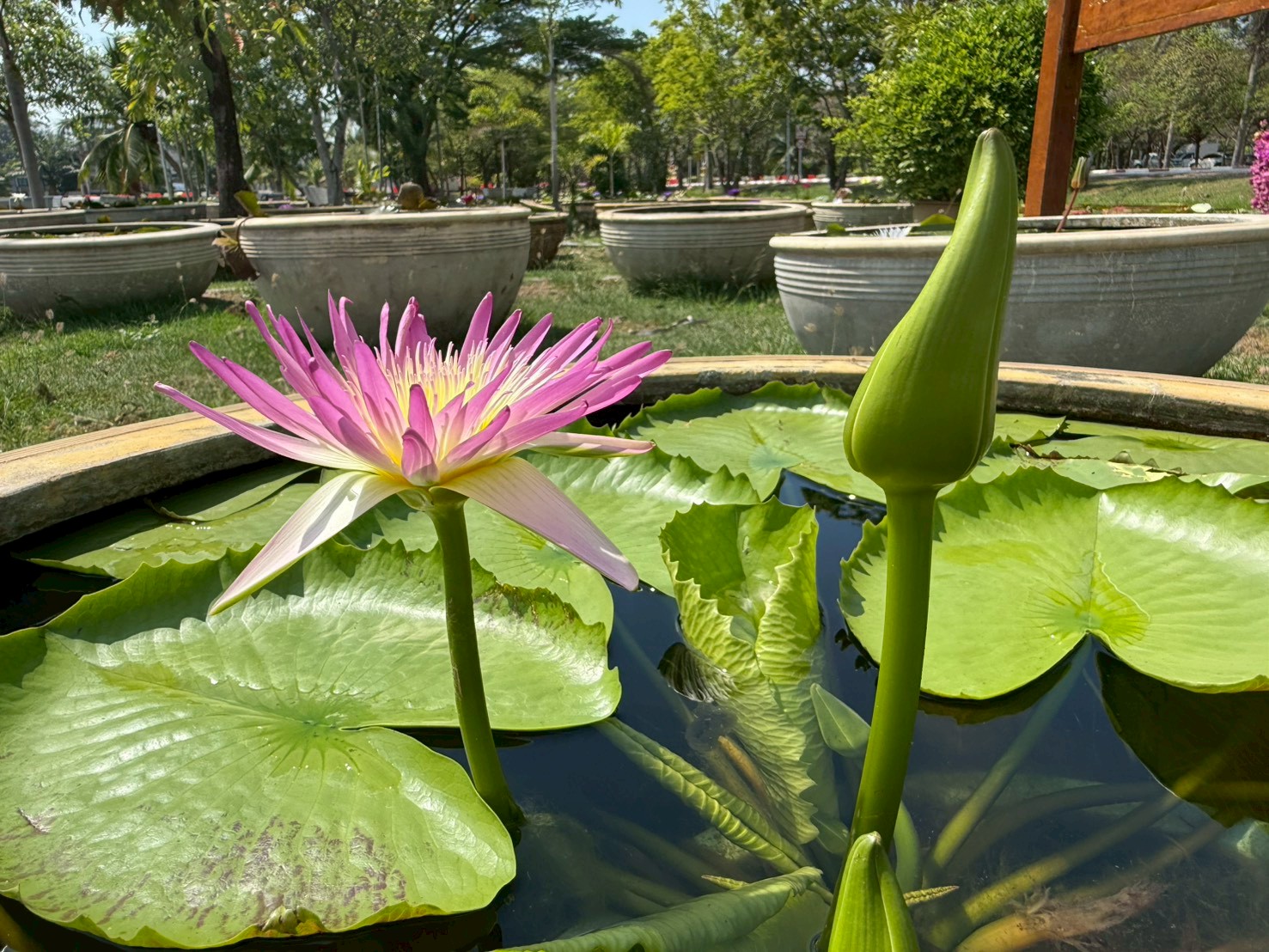 บัวรินลอุบล