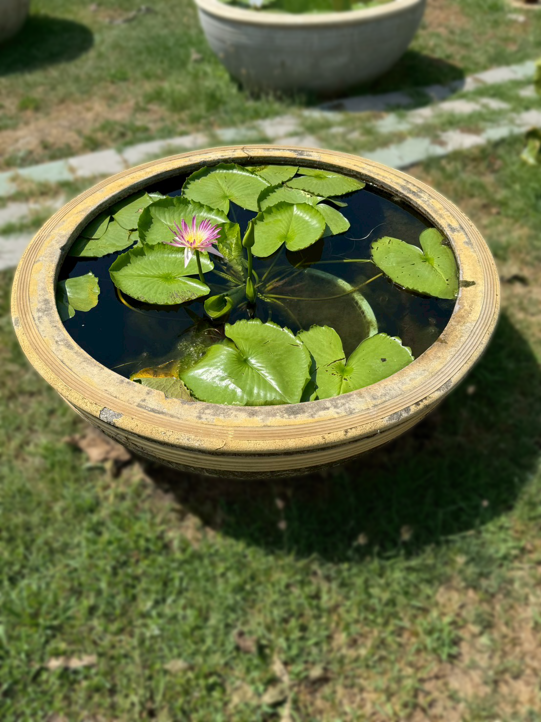 บัวรินลอุบล