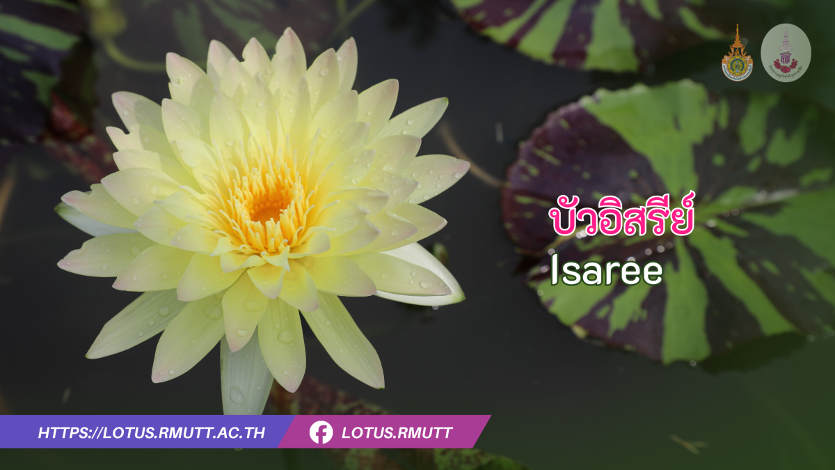 บัวอิสรีย์
