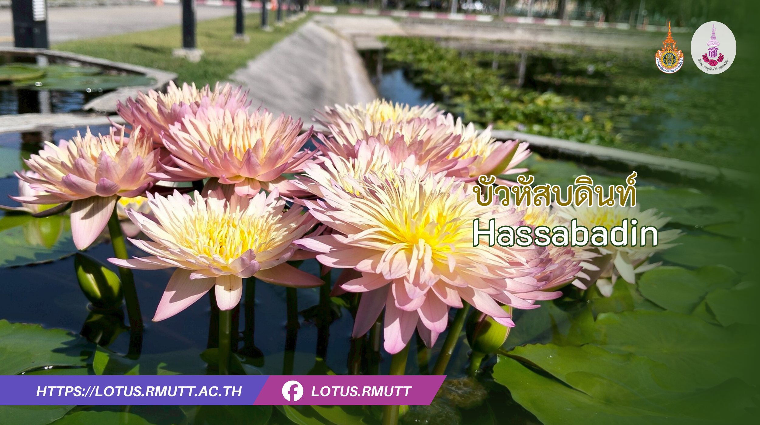 บัวหัสบดินท์