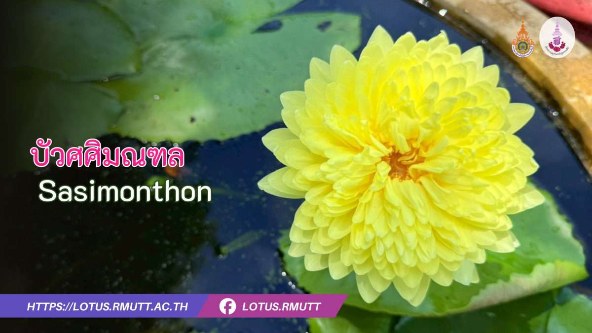 บัวศศิมณฑล