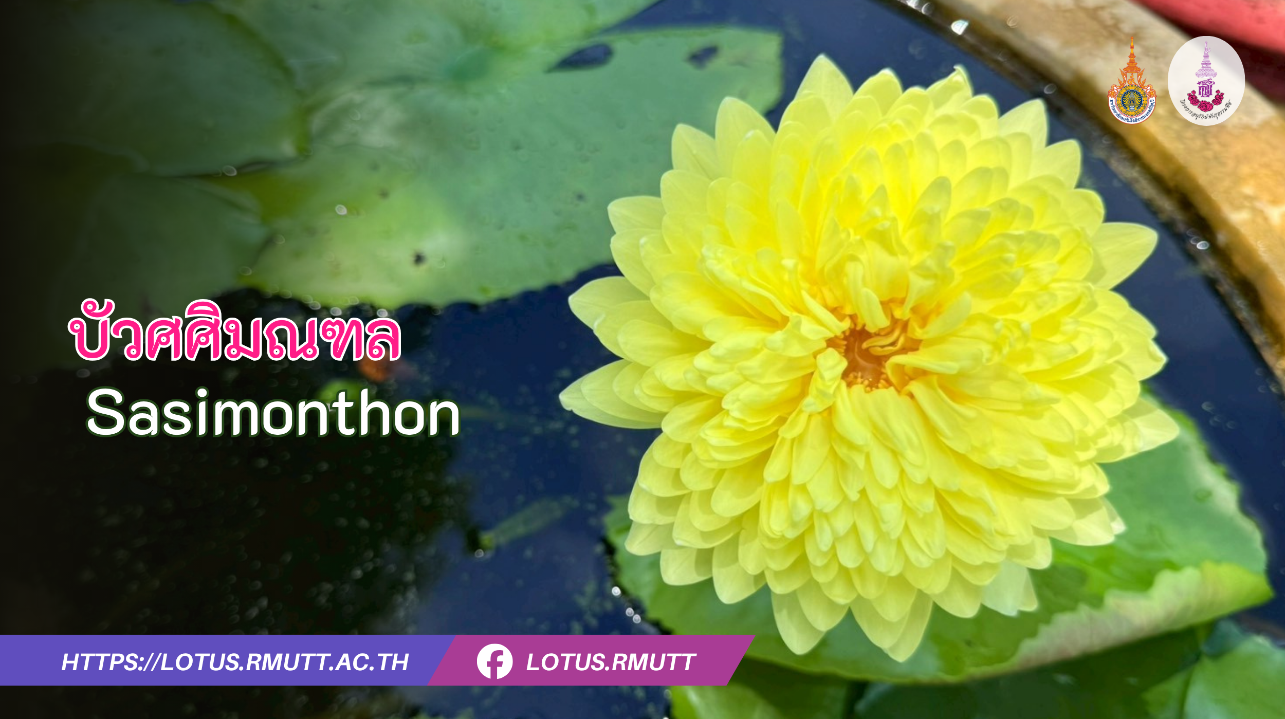บัวศศิมณฑล