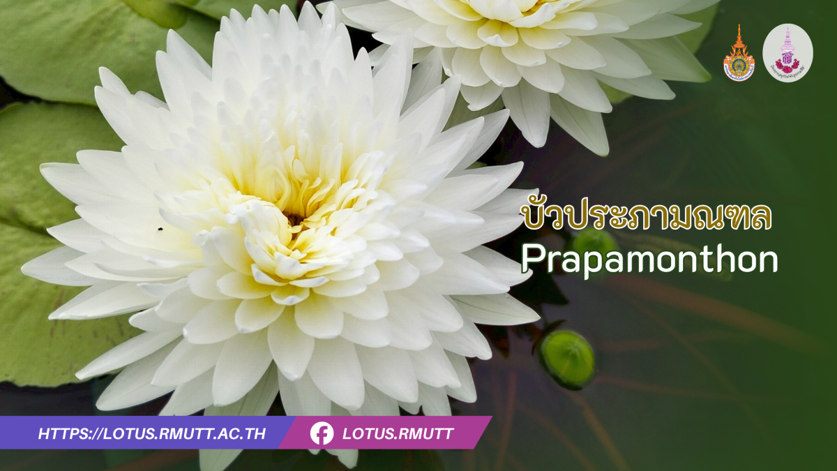 บัวประภามณฑล