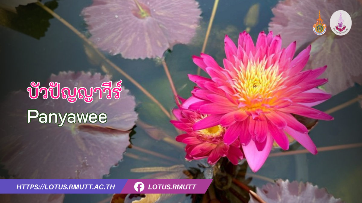 บัวปัญญาวีร์