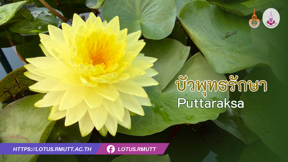 บัวพุทธรักษา