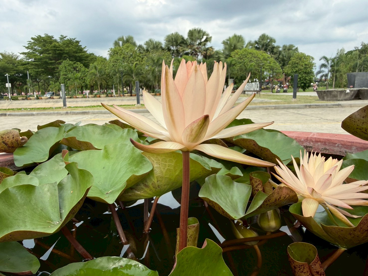 ธรรมรักษา